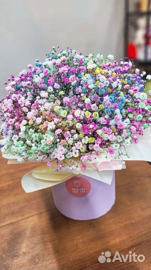 Гипсофила всех цветов