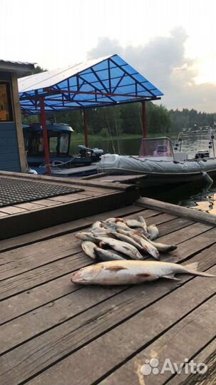 Рыбалка Клязьминское водохранилище