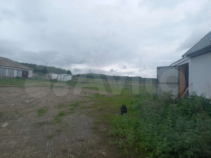 Производство, 800 м²