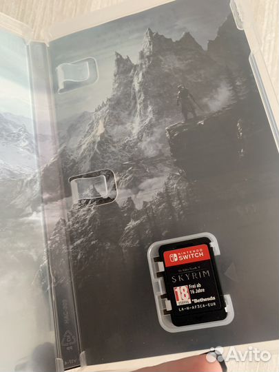 Nintendo switch Skyrim