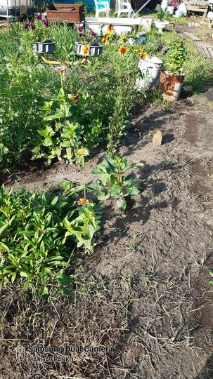 Дача 20 м² на участке 13 сот.