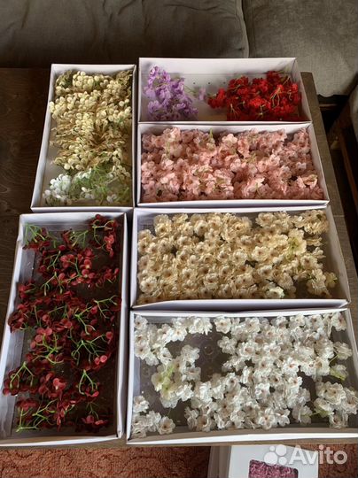 Мыльные розы, пионы, сакура, гортения