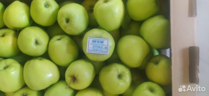 Яблоки оптом