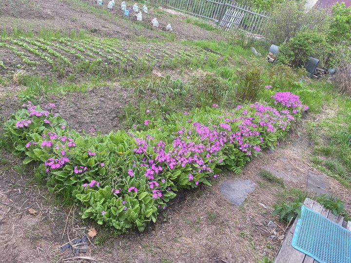 Дача 20 м² на участке 8 сот.