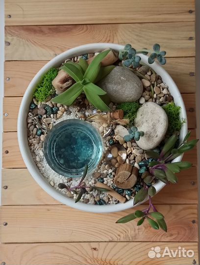 Композиция из суккулентов 