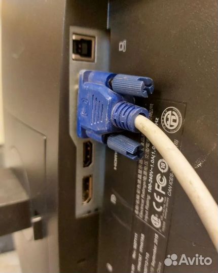 Монитор hp e243 под видеонаблюдение