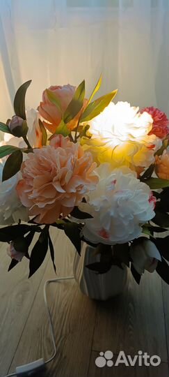 Интерьерные цветы