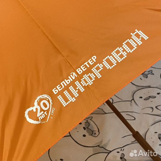 Зонт-трость белый ветер