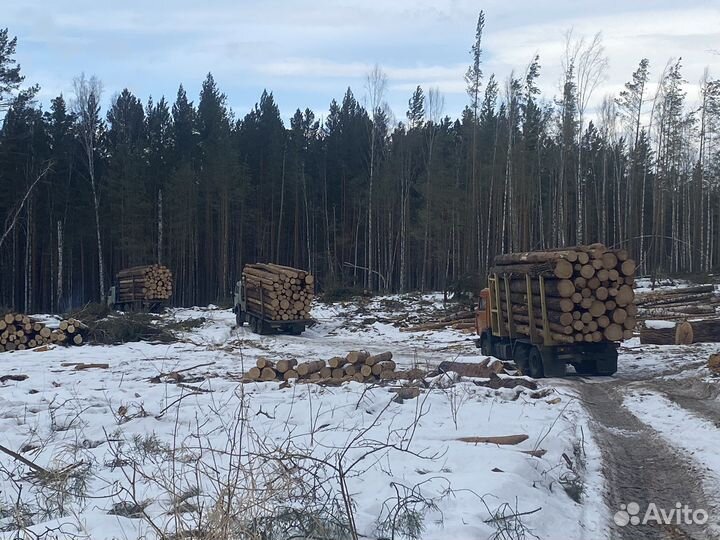 Услуги гидроманипулятора. Погрузка вывозка