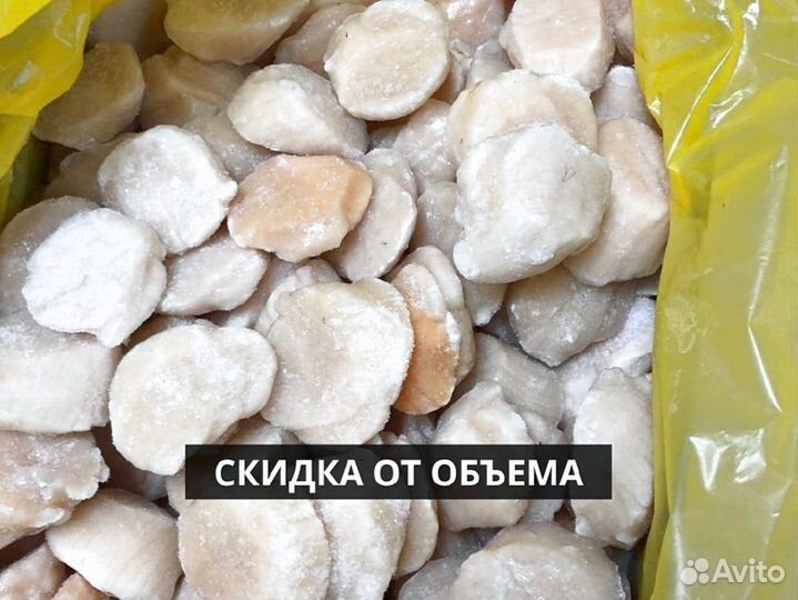 Морской гребешок