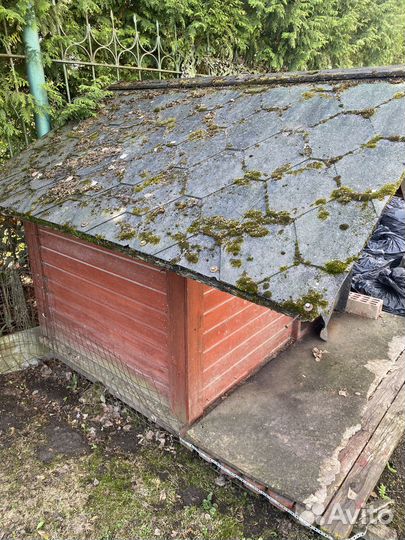 Отдаем собачью будку