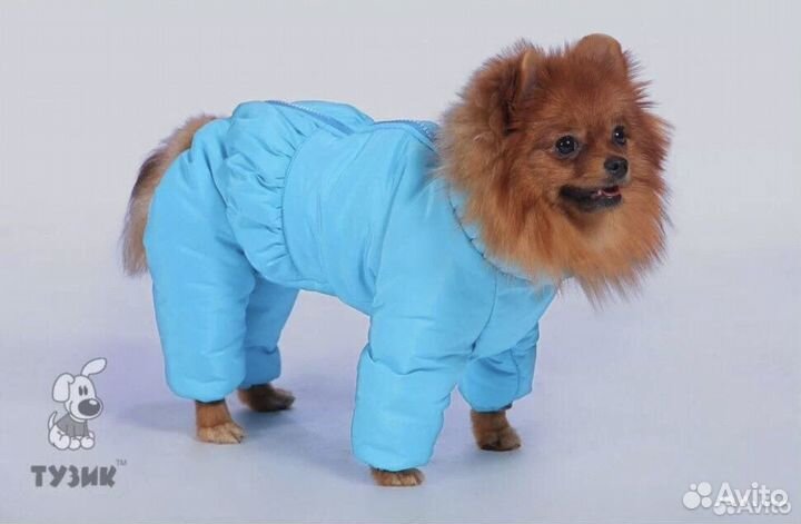 Комбинезон для маленькой собаки