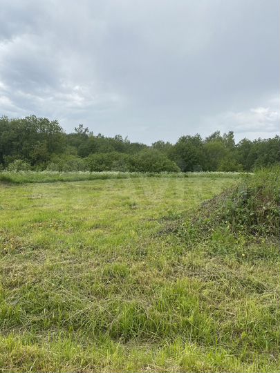 Участок 12 сот. (СНТ, ДНП)