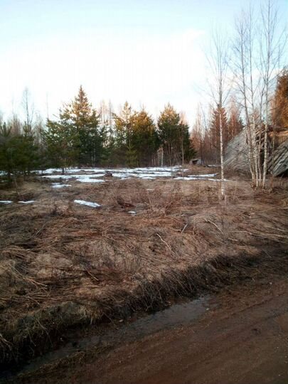 Участок 30 сот. (ИЖС)