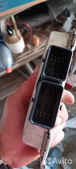 Эбу микас 12 газель бизнес