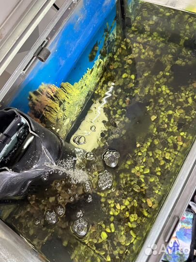 Аквариум Tetra