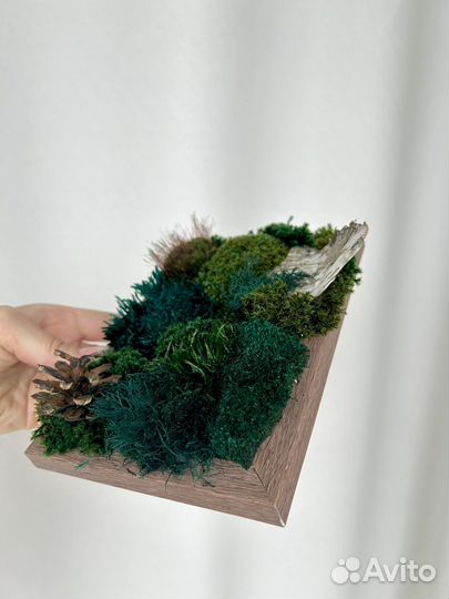 Картина, панно из стабилизированного мха