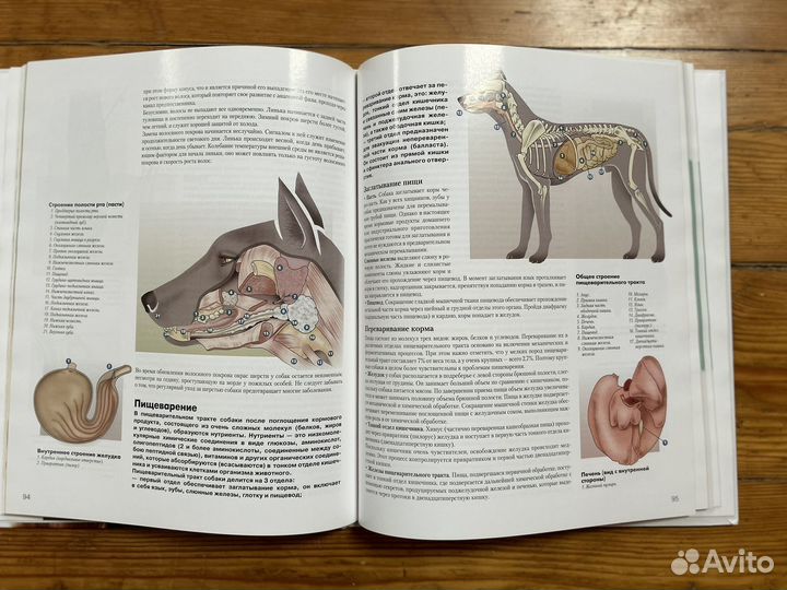 Книги про собак