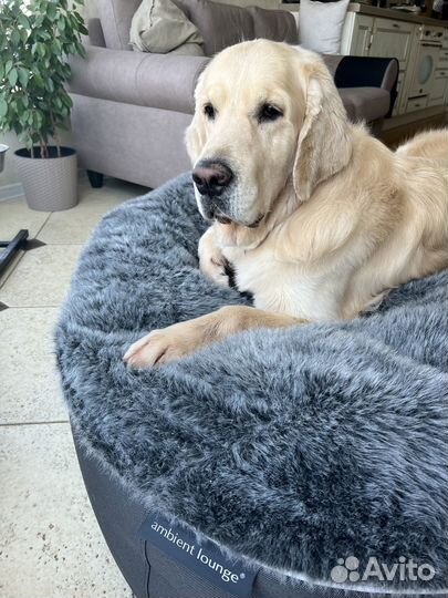 Лежак для больших собак