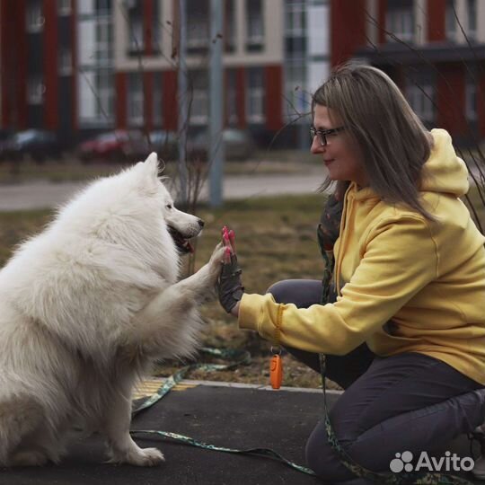 Погуляю с вашей собакой ЖК Красногорский/Малина