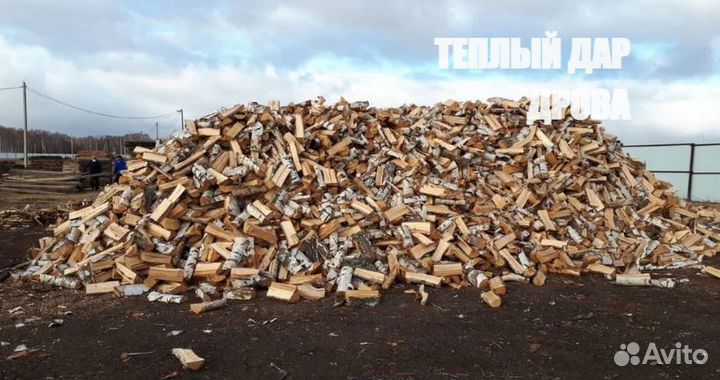 Дрова береза осина ольха