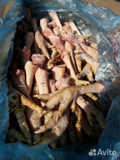 Корма животным(говядина,индейка)