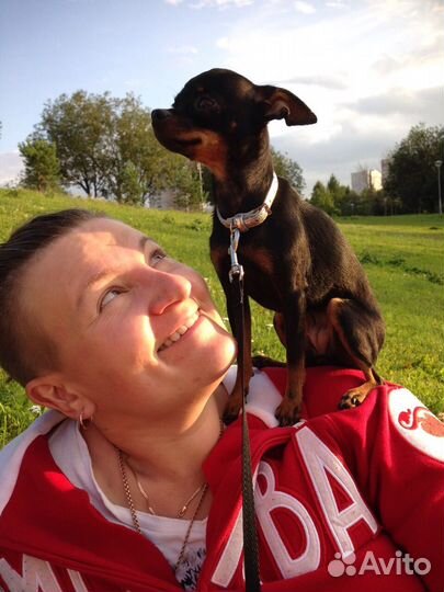 Собеседник / Друг на час / Поддержка / Слушатель