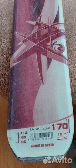 Горные лыжи