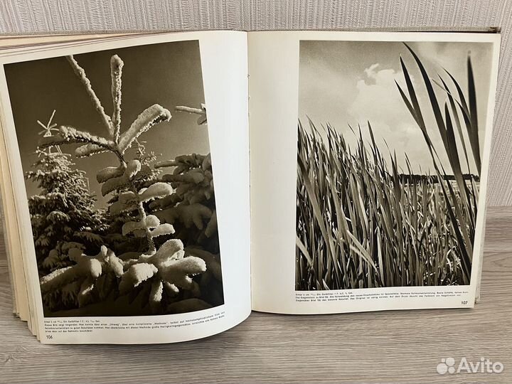 Мой опыт работы с (фотоаппаратом) Leica