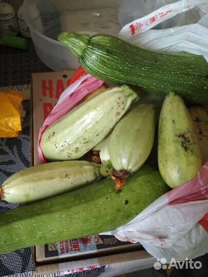 Вишня, кабачки