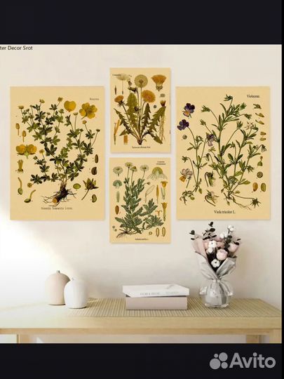 Постер с ботанической иллюстрацией