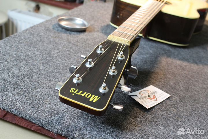 Акустическая гитара Morris W-25