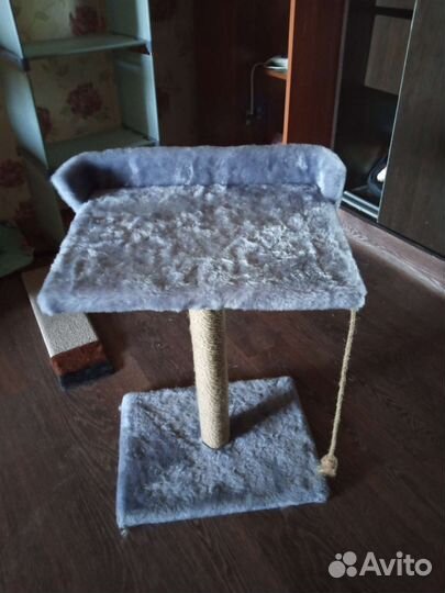 Когтеточка