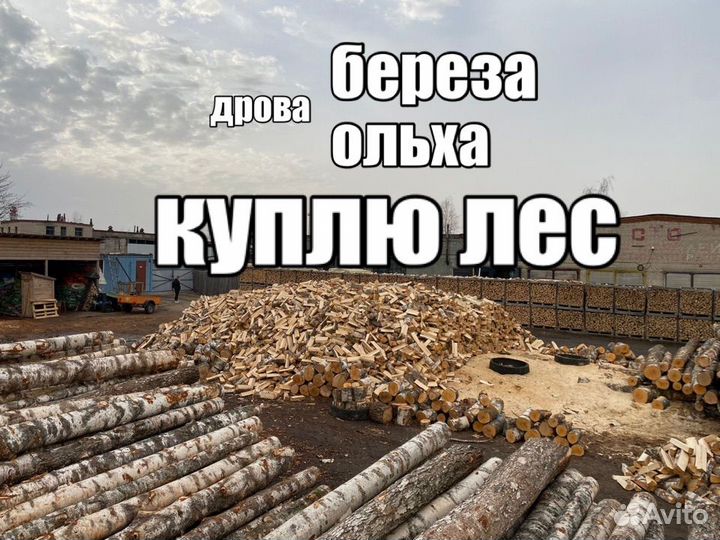 Дрова