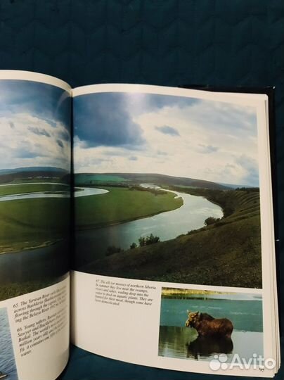 Книги на английском языке