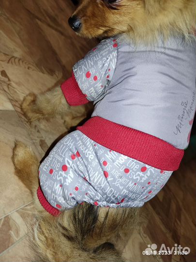 Зимний костюм для собак