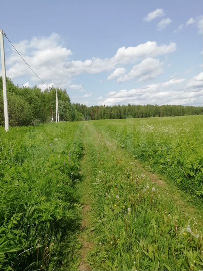 Участок 12 сот. (ИЖС)