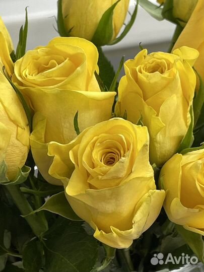 Букеты из 101 розы