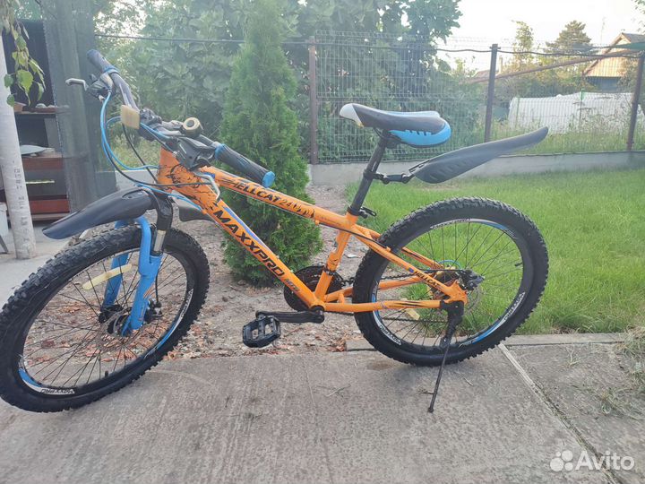 Stels navigator 610 и hallcat 24 maxpro