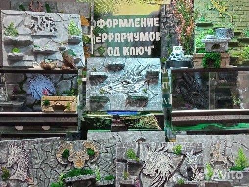 Оформление террариума 