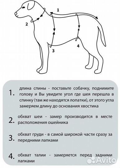 Дождевик для собак унисекс