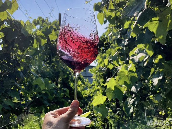 Экскурсия — Гагра — Гастротур поабхазии (Из Гагры)