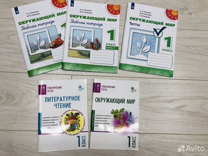 Рабочие тетради 1 класс школа России