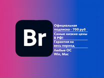 Официальная лицензия Adobe Bridge