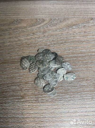 Чешуя Федора Алексеевича