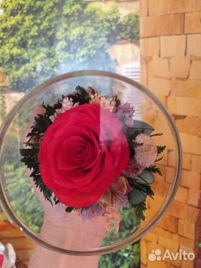 Роза в колбе