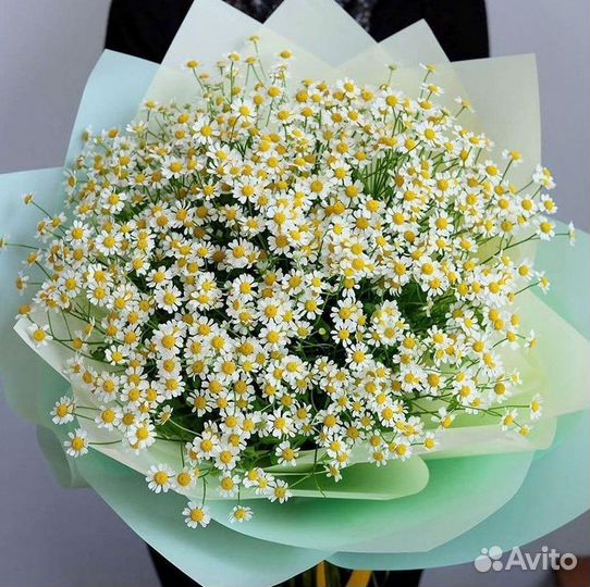 Доставка цветов. Ромашки
