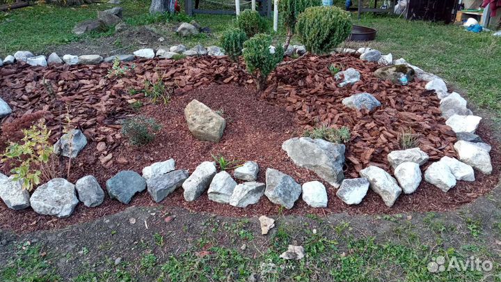 Кора лиственницы (есть в наличии)