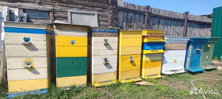 Улья рамки сушь кормушки весы
