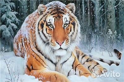 Набор 20*25, 25*30 алмазная вышивка мозаика